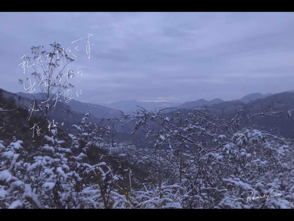 少年泰坦大出击